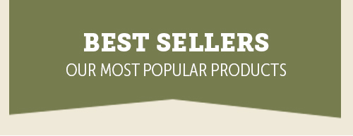 500x193-BestSellers-GridButton